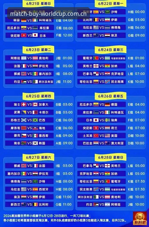 世界杯买球平台全面评测：从下载到观赛，一个老球迷的真实体验分享