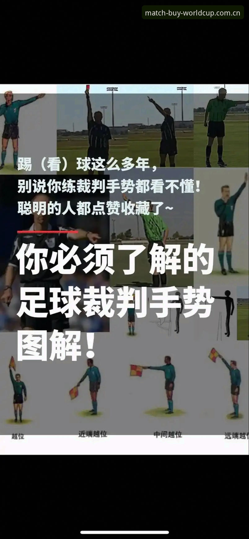 世界杯怎么用？2026年球迷必备的完整操作指南
